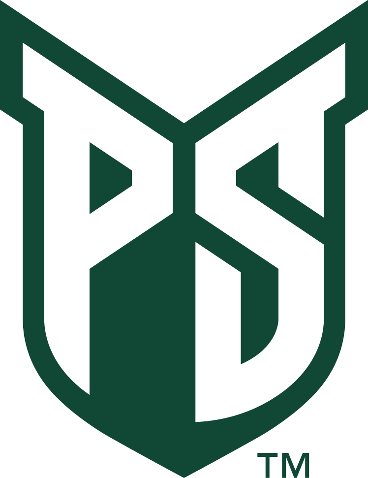 Portland State Vikings 2016-Pres Primary Logo DIY iron on transfer (heat transfer)